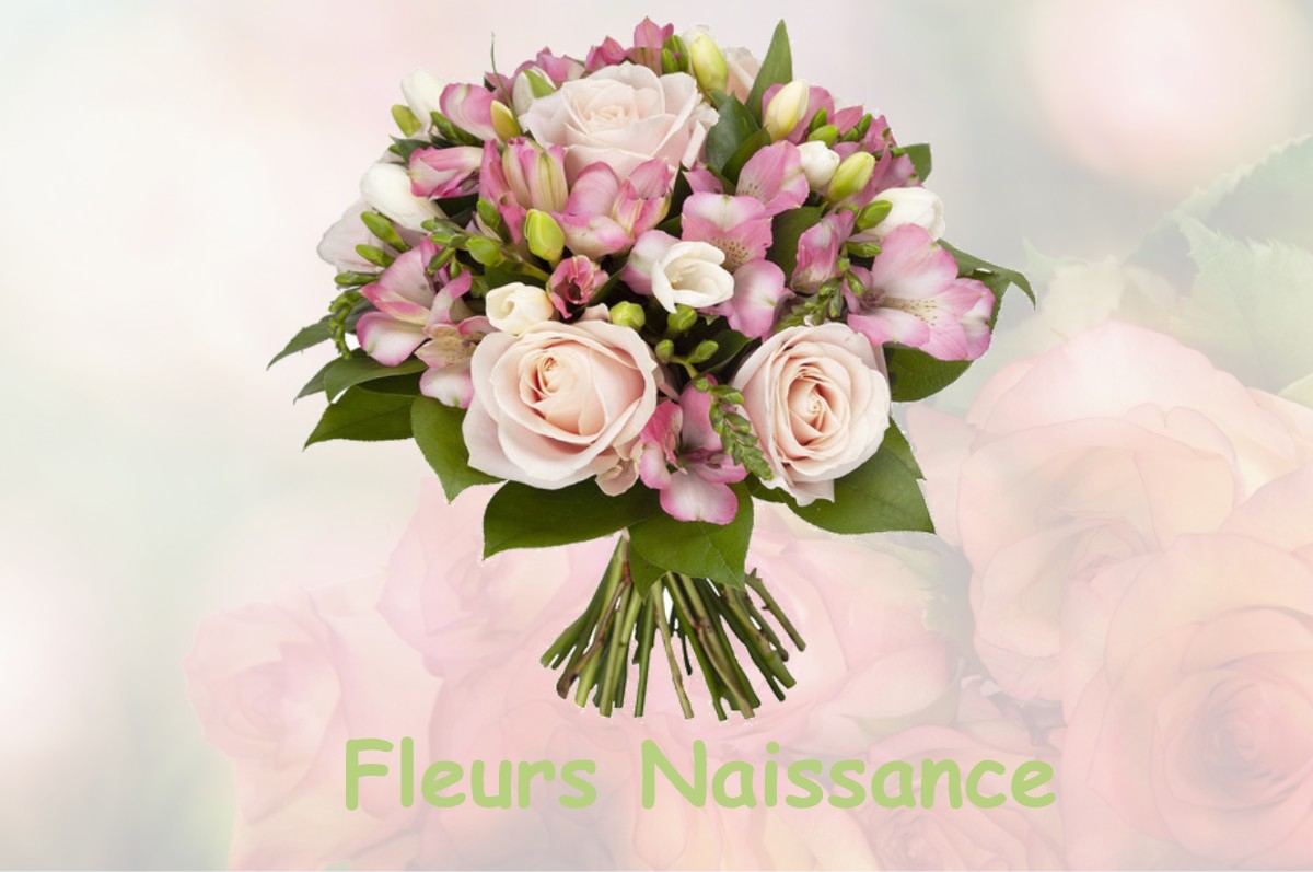 fleurs naissance THILLOMBOIS