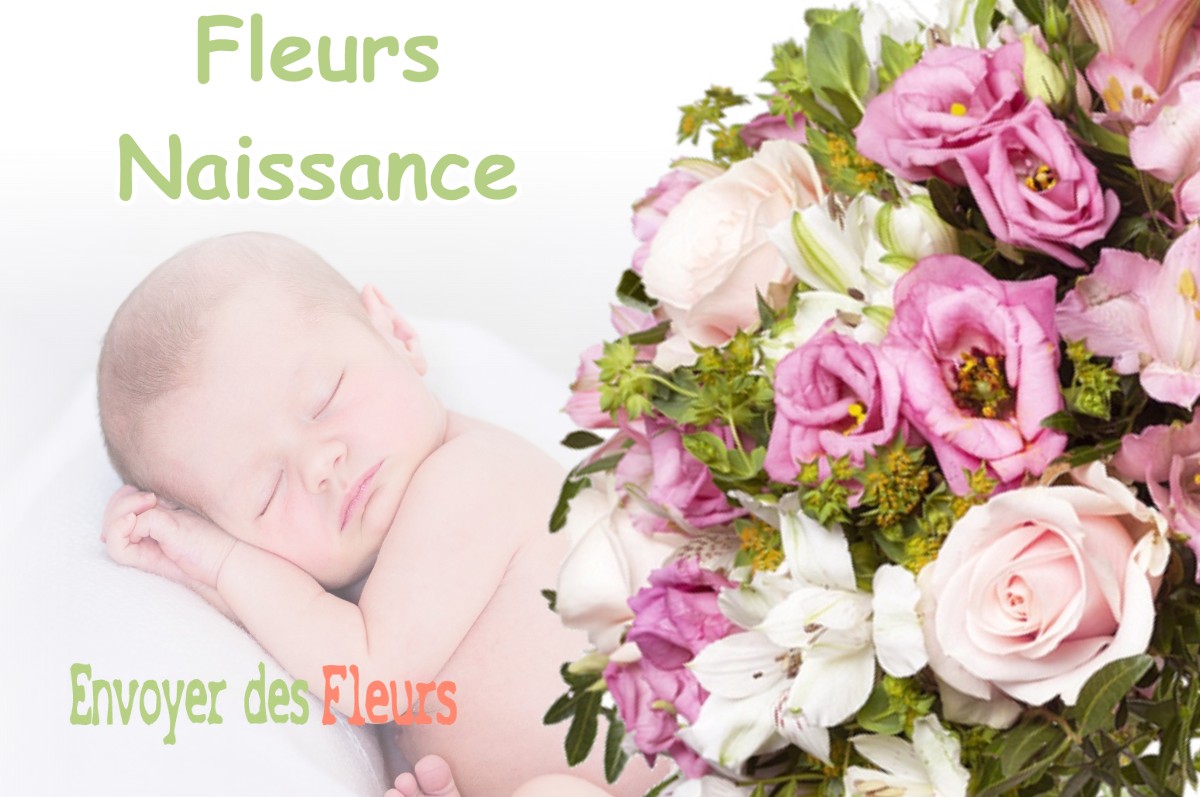 lIVRAISON FLEURS NAISSANCE à THILLOMBOIS